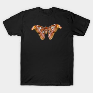 Butterfly T-Shirt